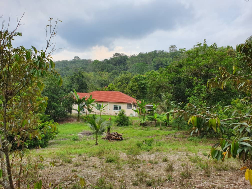 Dusun Tua Hulu Langat