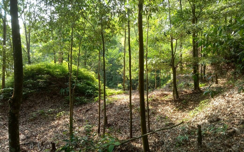 d72b4f7f-e092-418d-92d3-57c6e7096630