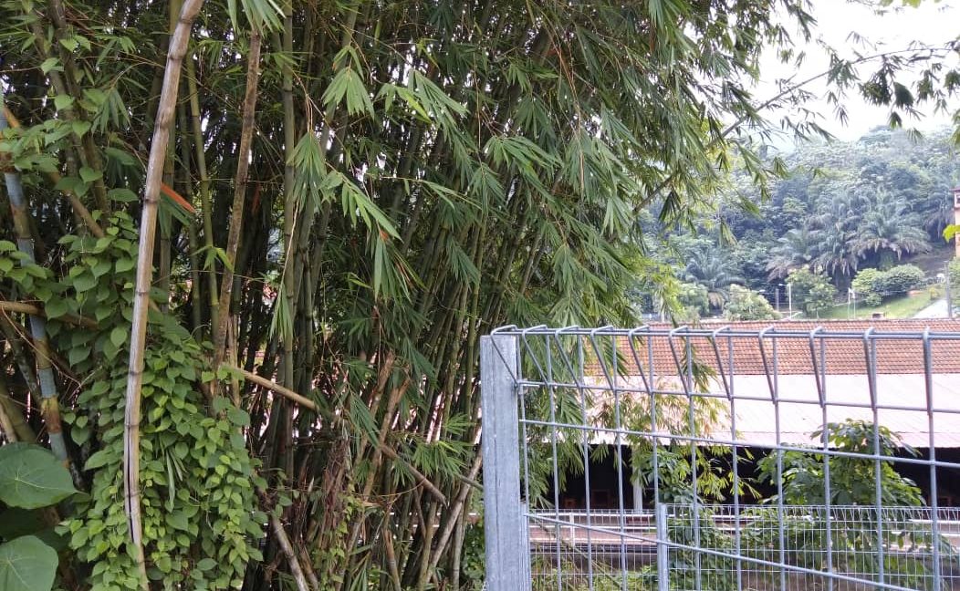 e406605b-549c-4e36-823b-601865f5008d