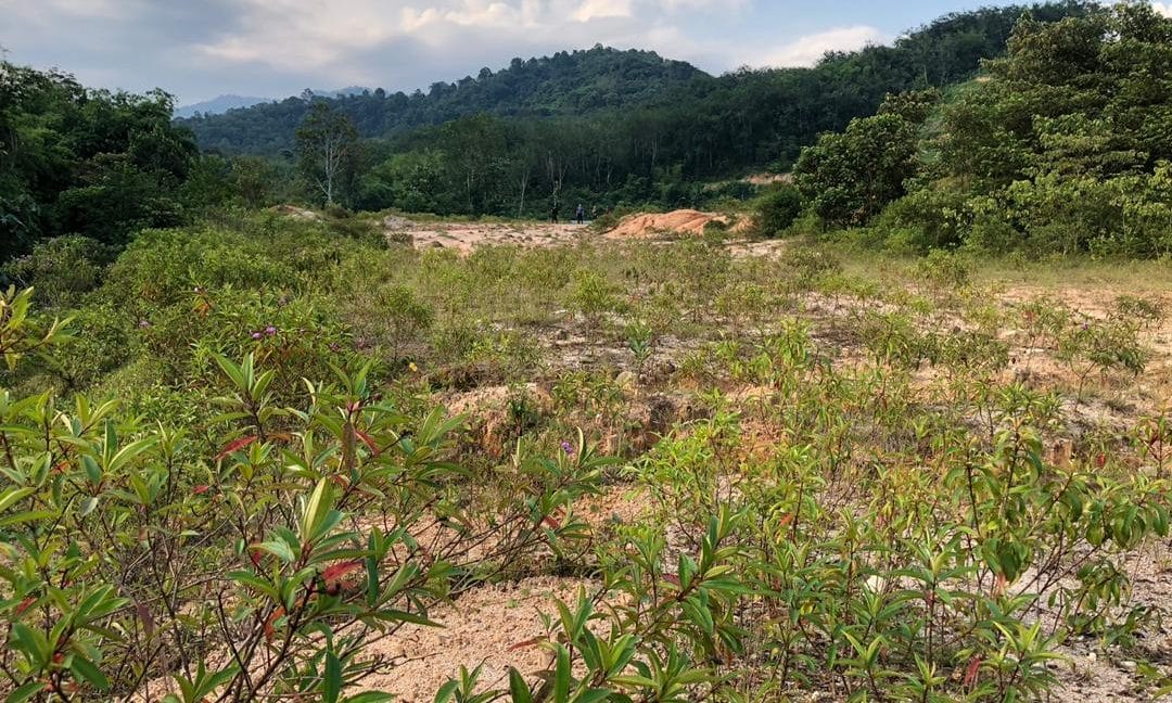 eeba3f7d-289d-4599-a371-c0e7e85302f3