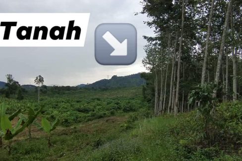 Ayer Karah 1 Lenggong