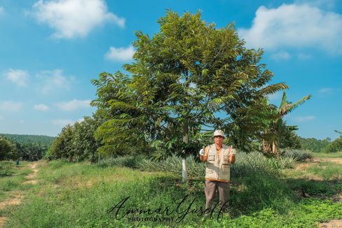 Kebun Durian Hulu Langat