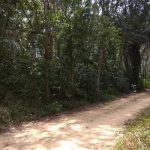 Tanah Karai Kuala Kangsar