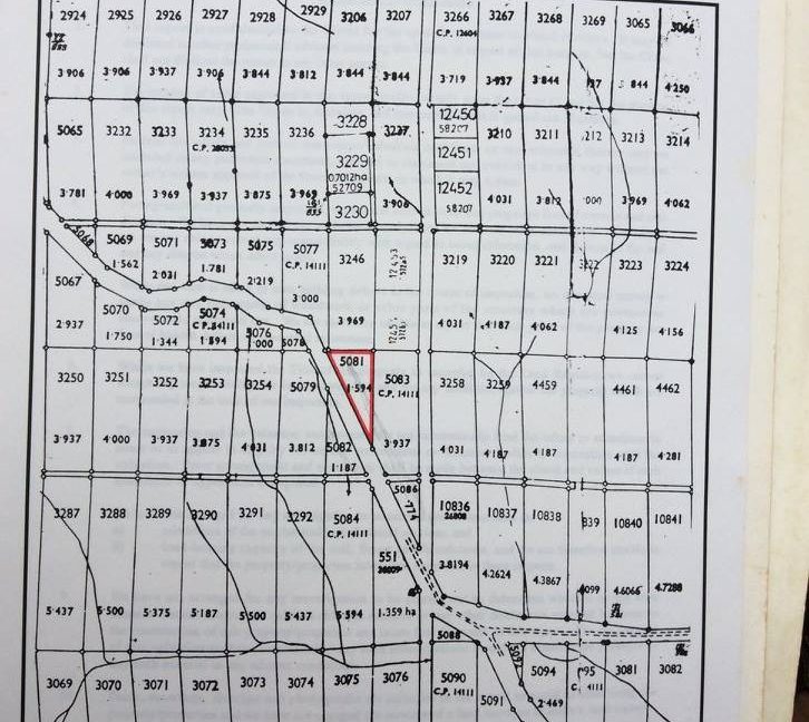 14859921_10154054867949021_6785826004153029455_o