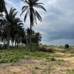 Land Bandar Serenia Dengkil
