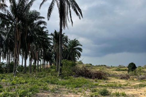 Land Bandar Serenia Dengkil