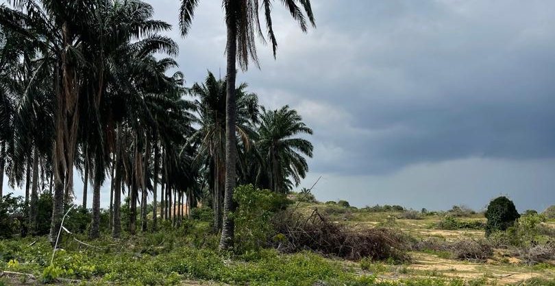 Land Bandar Serenia Dengkil