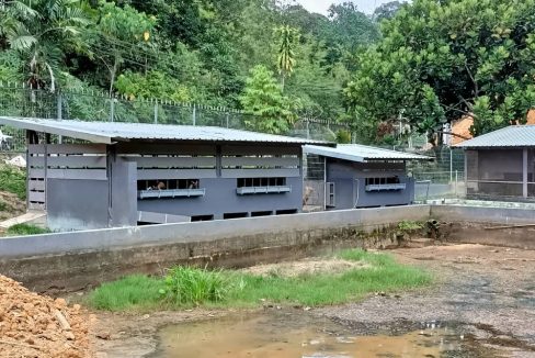 dusun Janda Baik Bentong