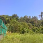 Tanah Kampung Jelin Jelebu