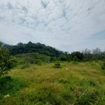Orchard Resort Hulu Langat