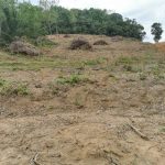 Tanah Pertanian Kota Rembau