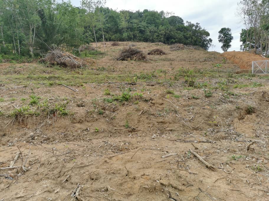 Tanah Pertanian Kota Rembau