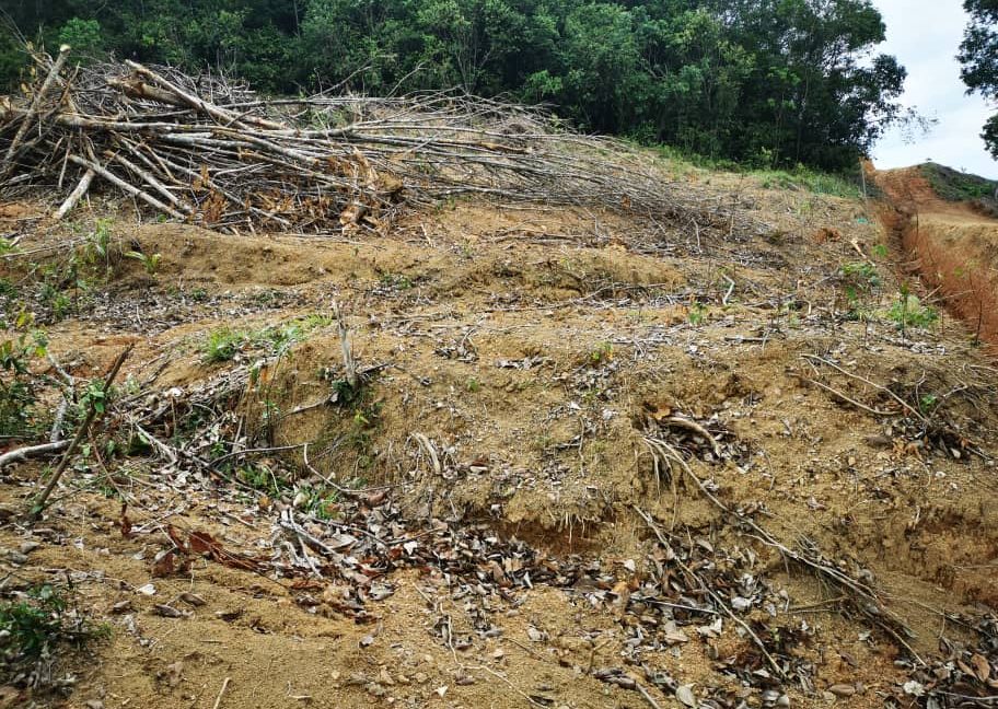 2a7a3e5d-afb6-4bcf-b1a4-729ba64c95b3