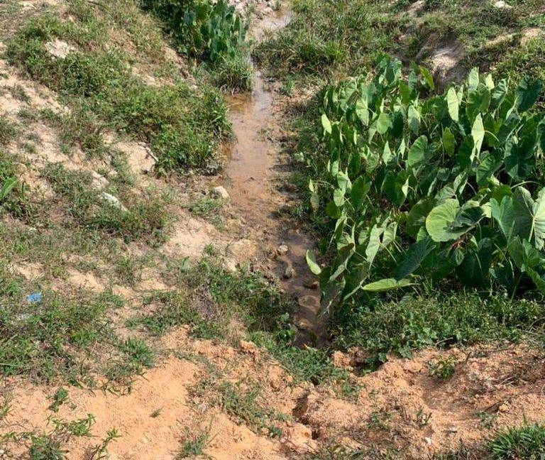 30a07589-7a5f-4950-8ba7-eeacbc5a324c