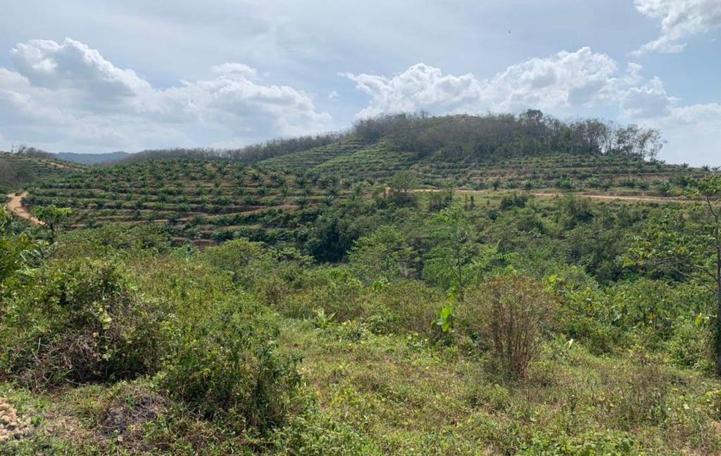 3cc48412-1d5c-404f-af01-93836c8eb19f