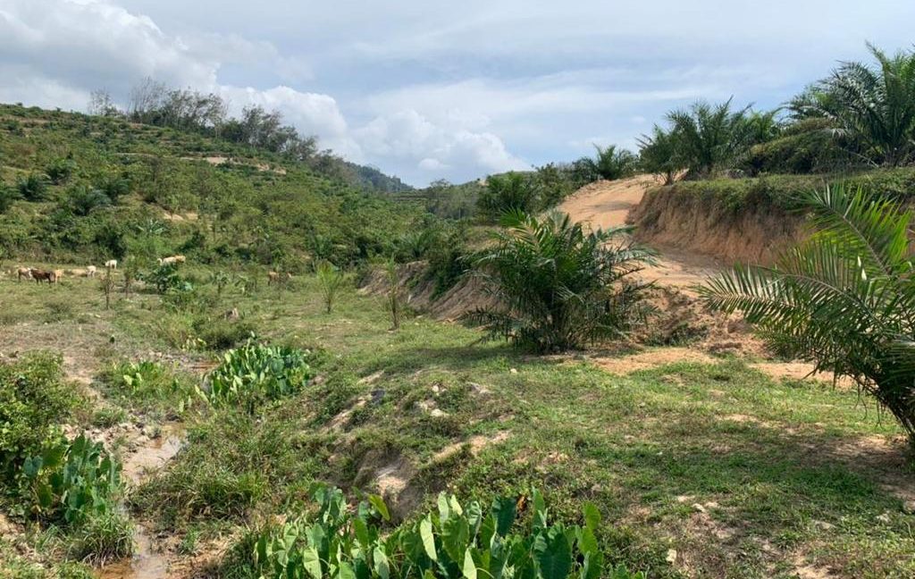 3edd0b6b-156b-4f62-8720-3aba878645b7