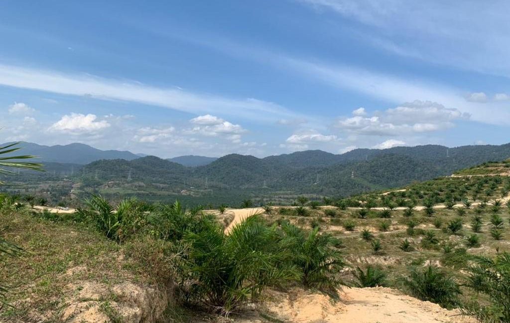 7c099689-6a94-4172-ac7a-d9b489bcf391