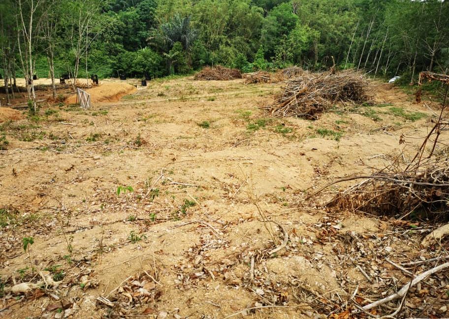 8258c7de-a511-4d96-9897-c73a5e411295