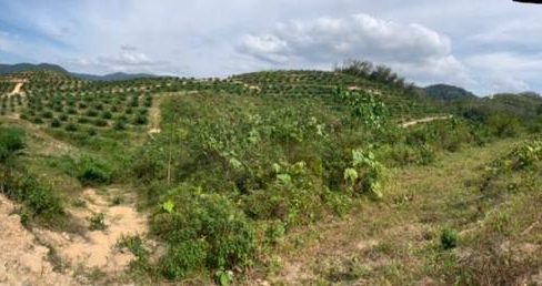 Tanah Pertanian Lenggeng