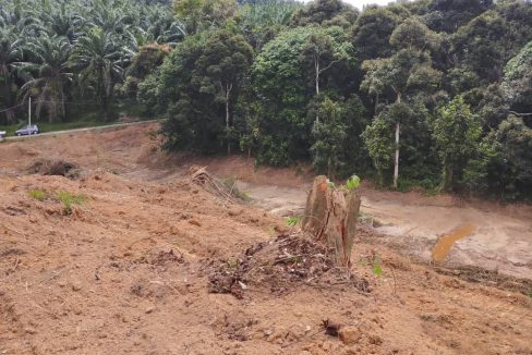 Ejen Tanah Pilin Rembau