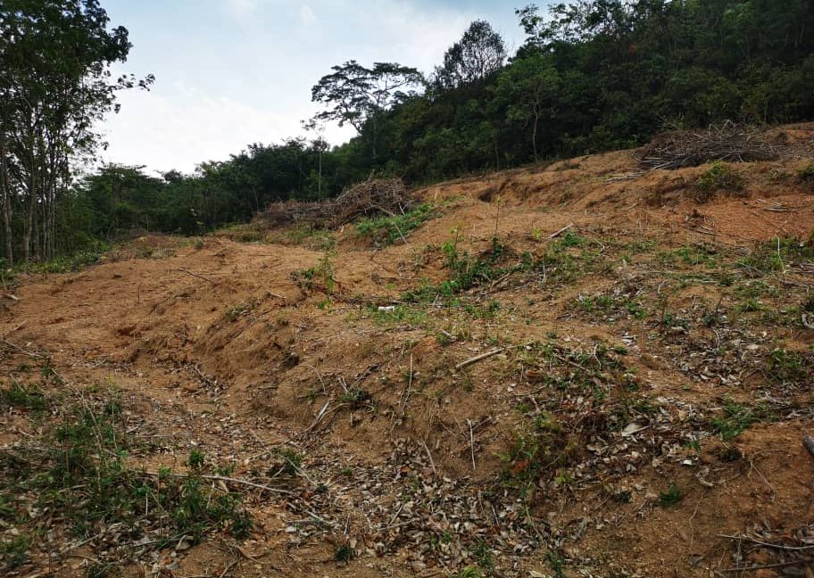 c200b07d-39a7-47b5-8e3d-e1599c5902b7