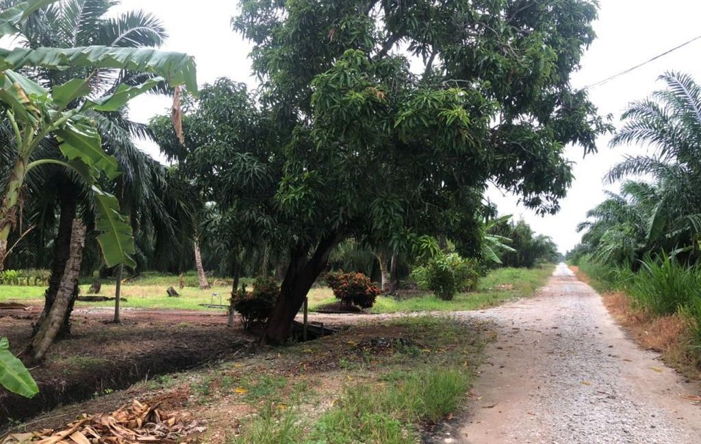 3a2fa24b-1a64-4608-b5fe-1381e480e35a