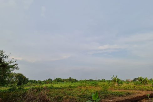 Tanah Sijangkang Banting