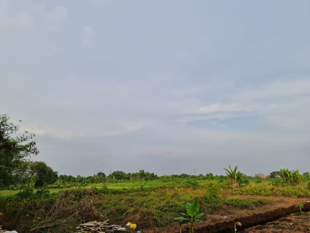 Tanah Sijangkang Banting