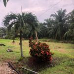 Kampung Sungai Yu Kuala Selangor