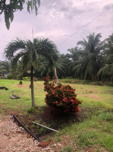 Sungai Yu Kuala Selangor