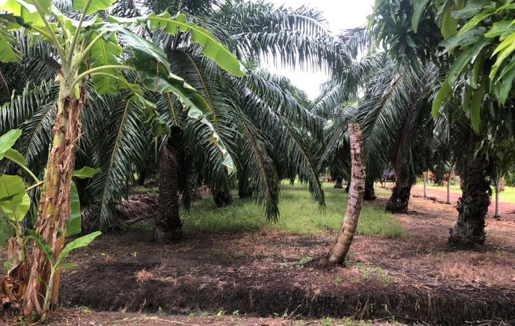 673713f9-d6be-422e-895c-bcec4bf5c967