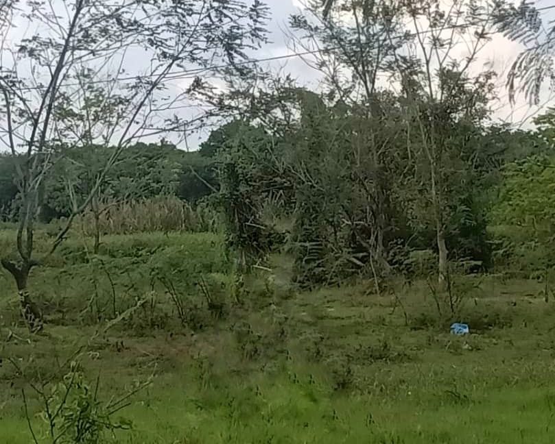 a9ca0085-a107-452e-b5e7-5dfa06a3e591