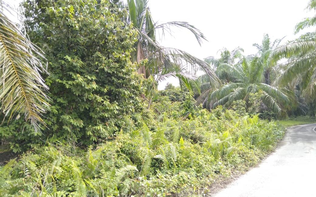 aed34b38-3c1d-49ca-b452-4b7a9283ec6e