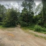 Tanah pertanian Batang Kali