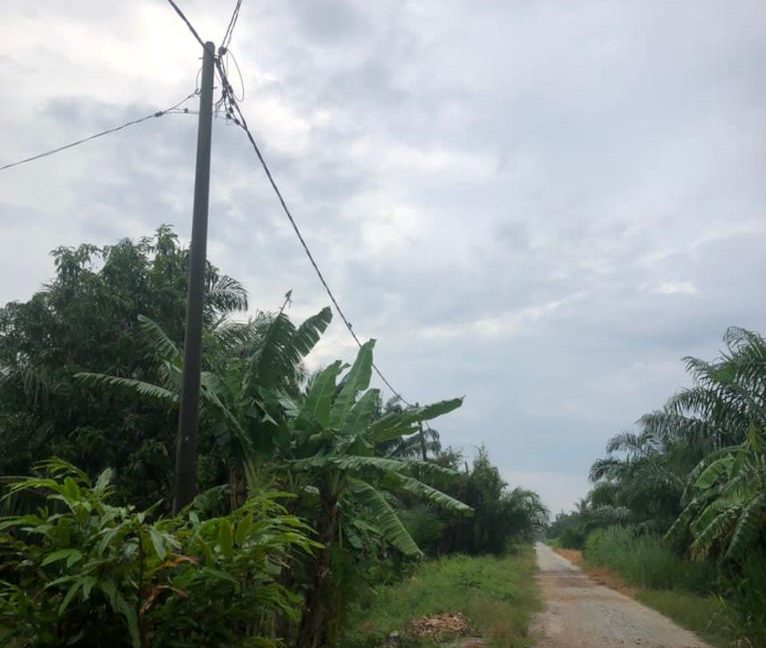 f94da5cb-045b-491f-a9a6-09fc2fa6293f