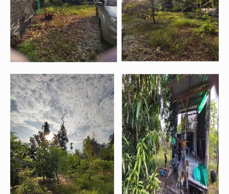 065915db-f19a-421b-b974-54e3e699659f