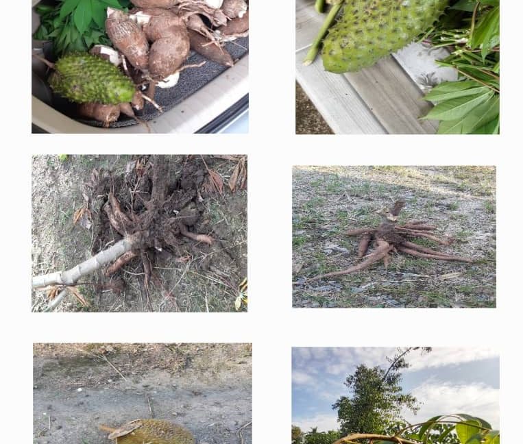 1b758e70-bd65-447f-82b2-ed1e498317f9