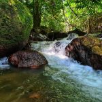 Tanah Dusun Ulu Jelebu Kuala Klawang