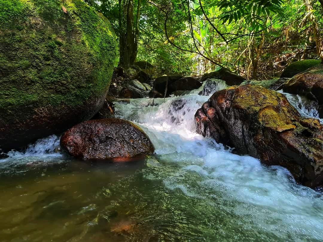 Tanah Dusun Ulu Jelebu Kuala Klawang