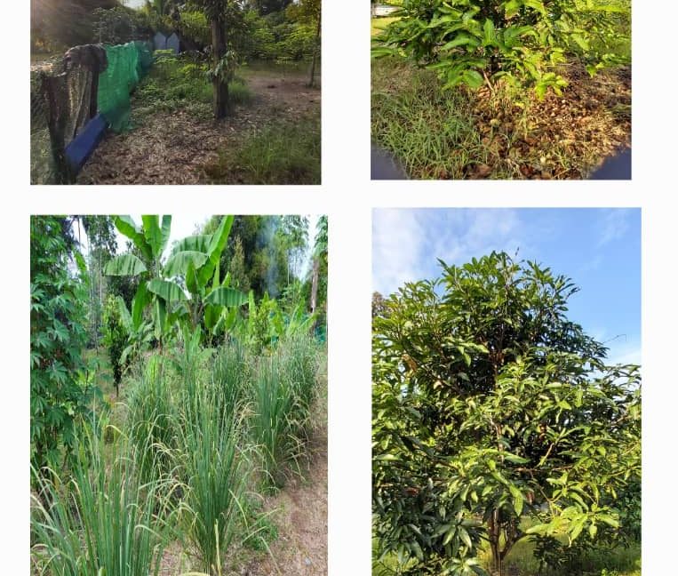 1ee5b9fc-fa82-4f7b-81d6-182ce19864e5