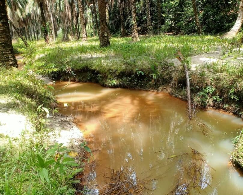 264088655_438478017951230_7954974411357096794_n