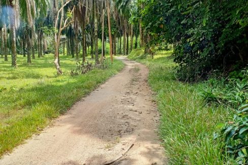 Tanah Kampung Kepis Hilir