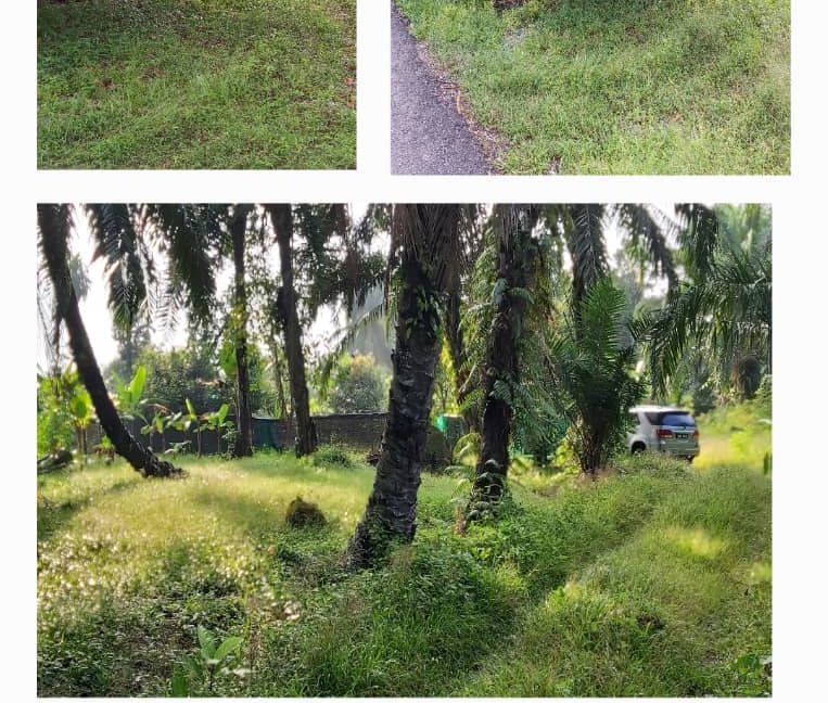 7072b498-86e3-4f54-8f6e-1857eed7f446