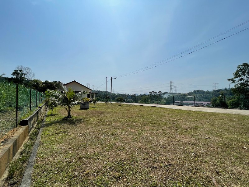 801d8b8a-2346-4d71-bddf-5d99f0c0df50