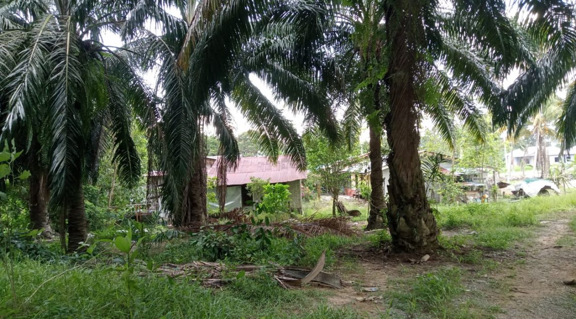 83a6c0dd-0ad5-4b66-a7da-b7bc07ac6145