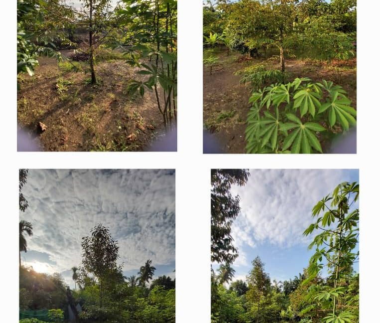 988e357c-5234-400c-b4ca-a71860e376da