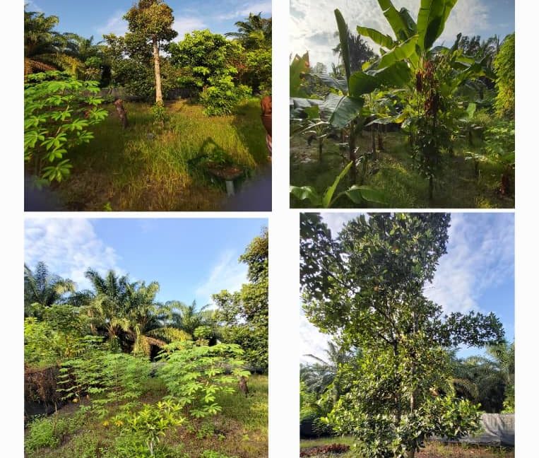 9fe00eca-4c87-4a0f-a735-7007d1002e1d