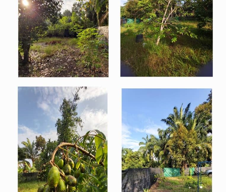 cc310644-d993-400e-92dc-654b80616ff5