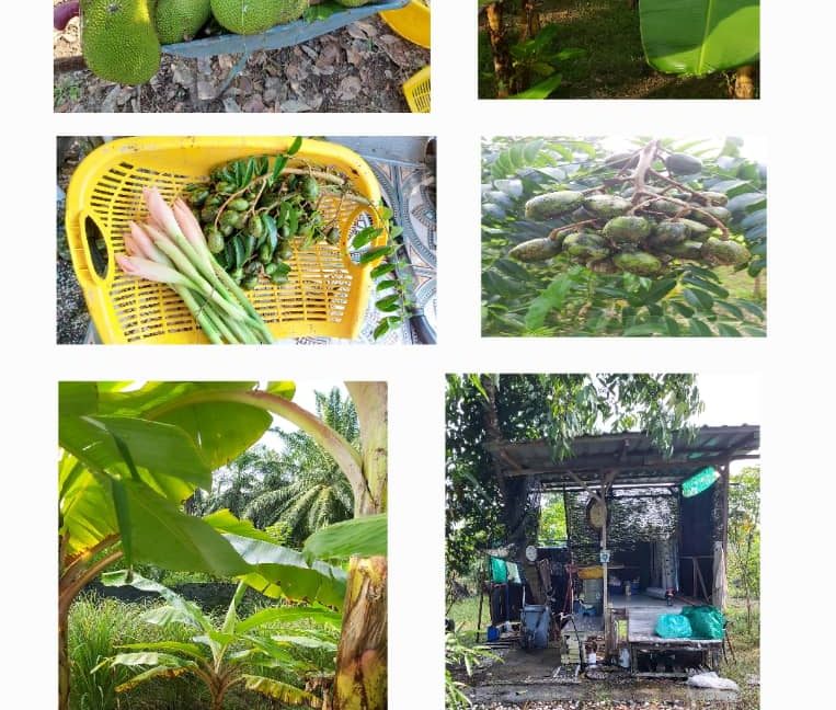 d1c2701e-cc36-4fcb-8c1d-7d2230a3f6af