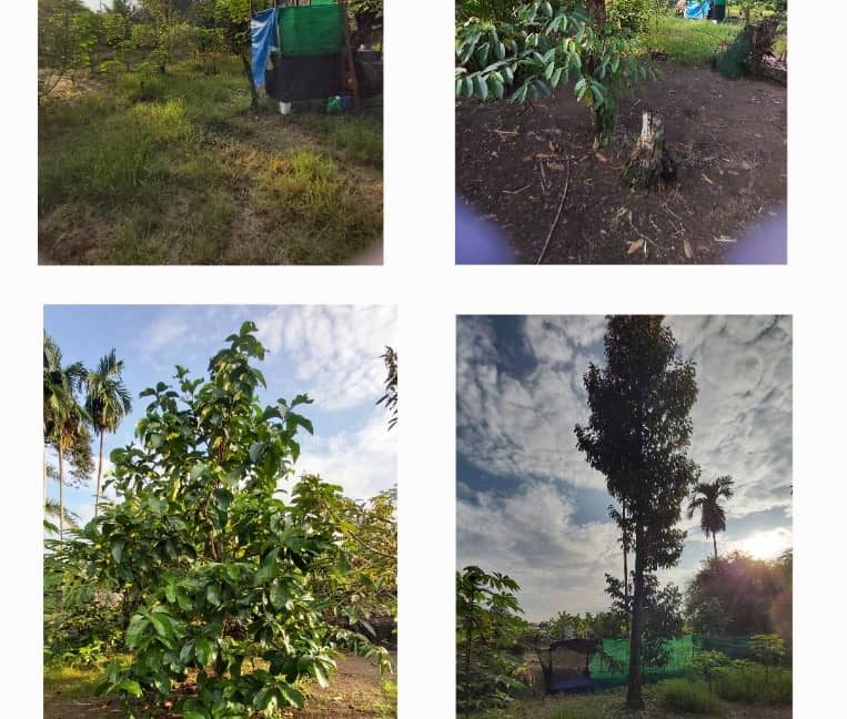 de31b4f4-f98e-43c5-9d10-ccf26a48ec7f